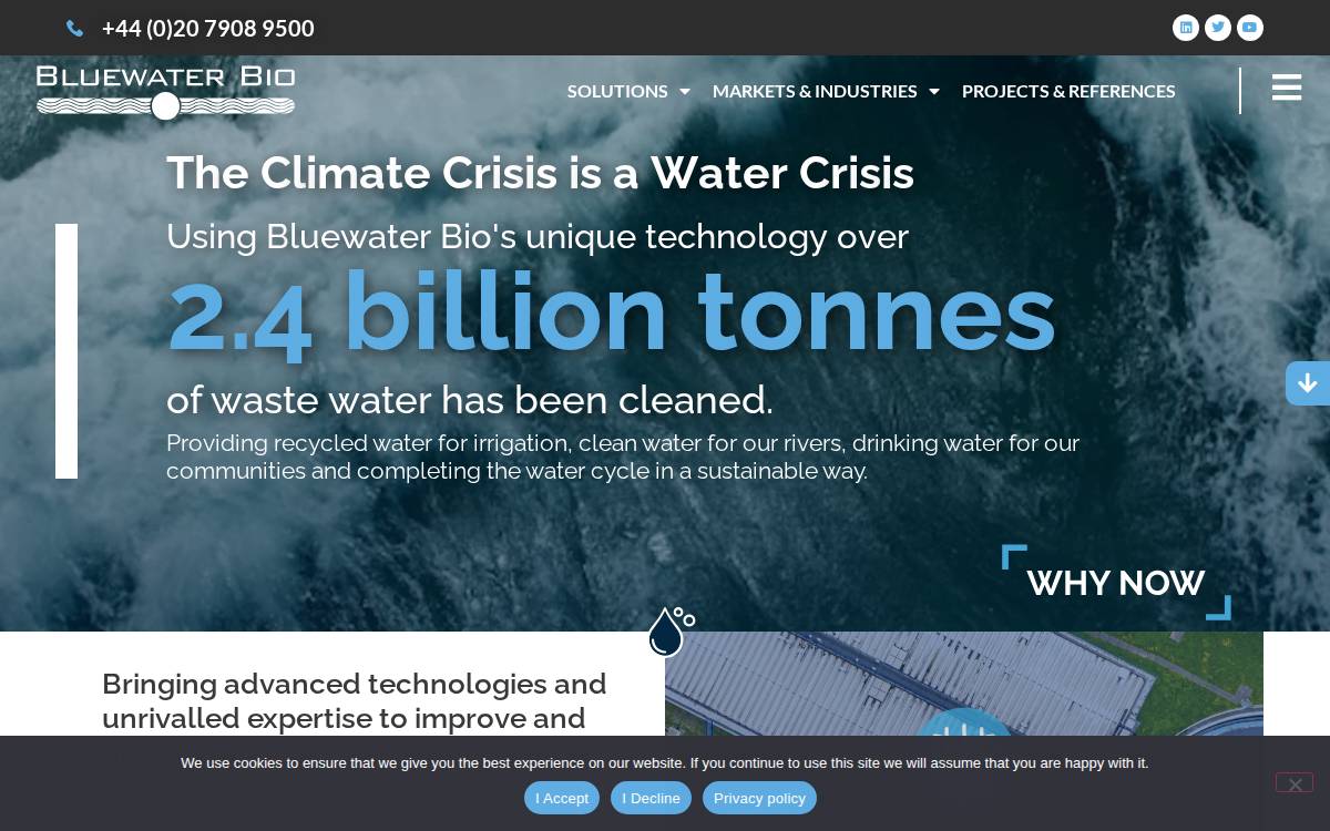 Bluewaterbio website preview