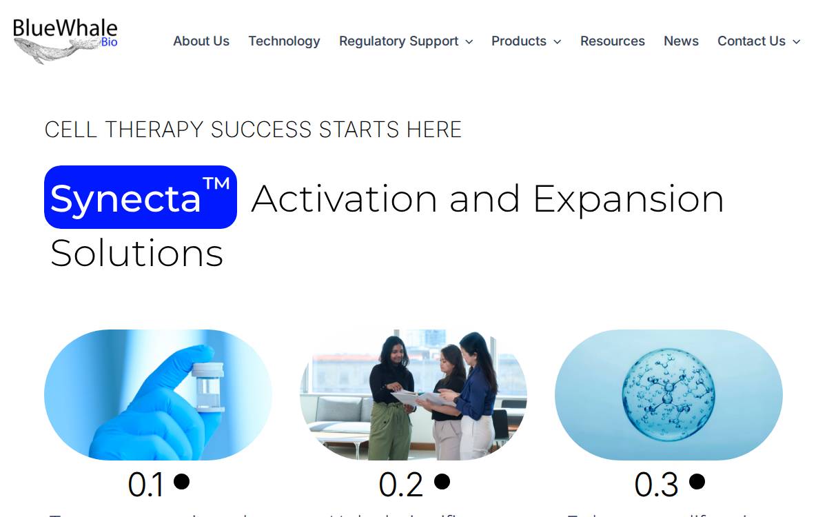 Bluewhale website preview