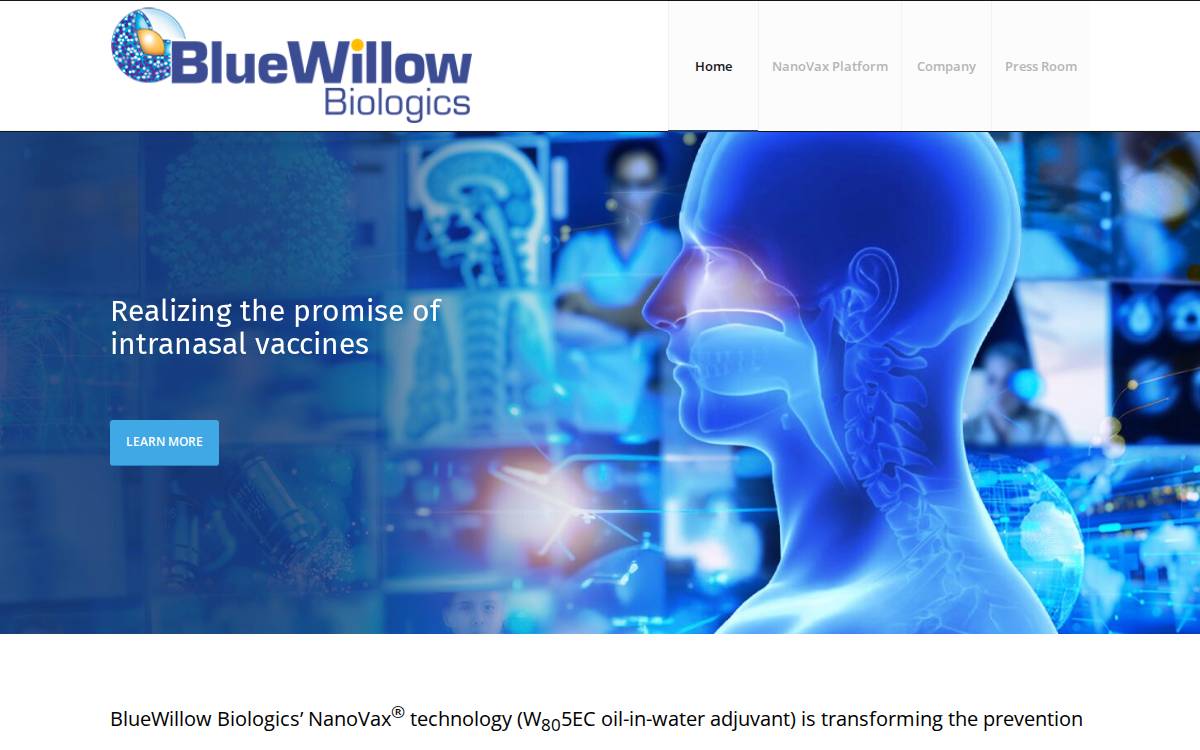 Bluewillow website preview