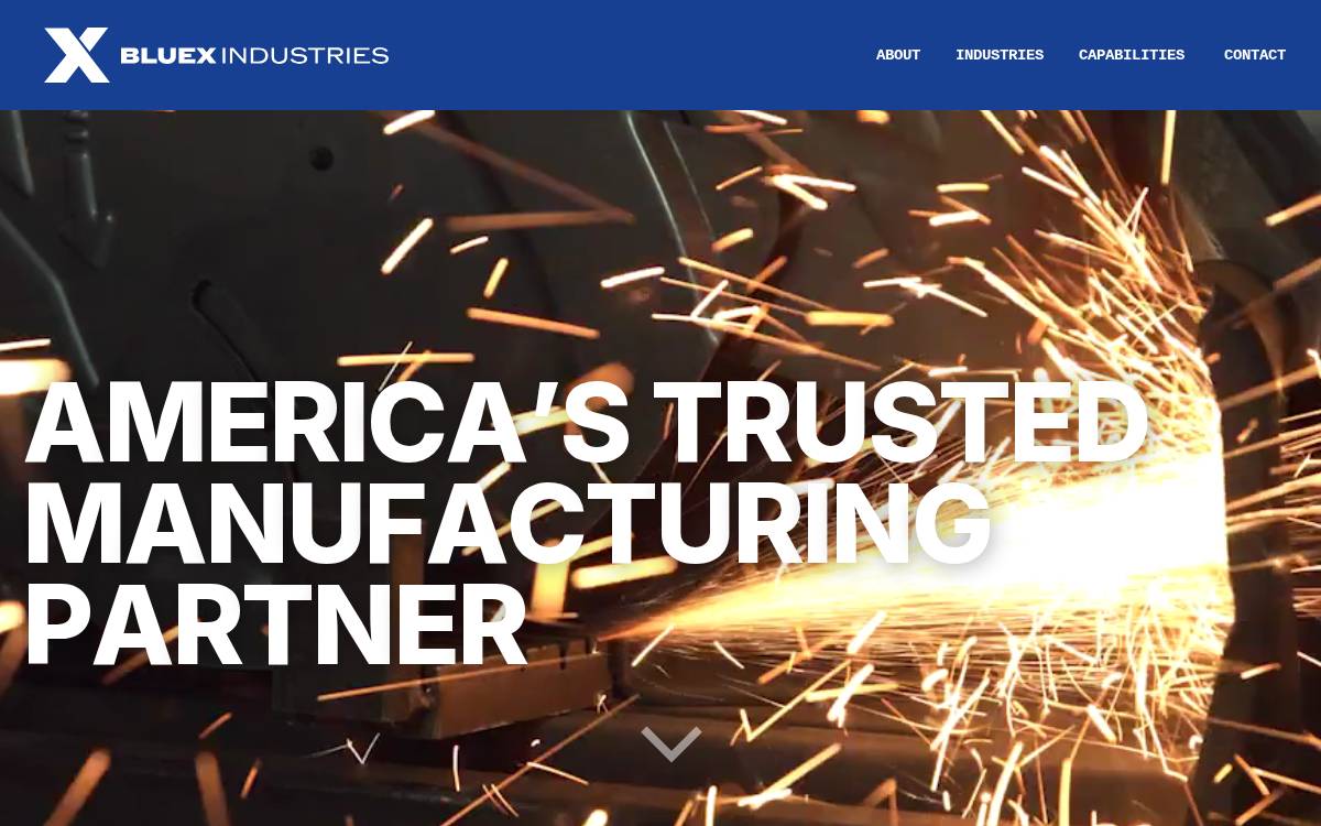 Bluexindustries website preview