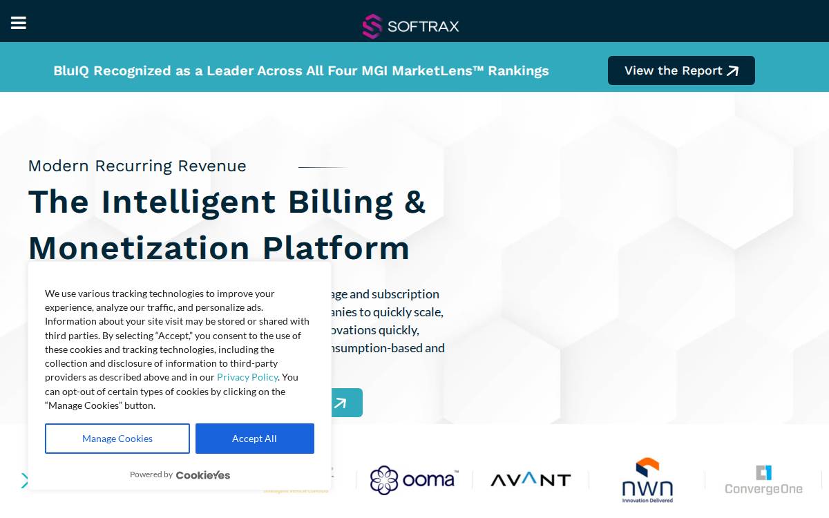 BluLogix website preview