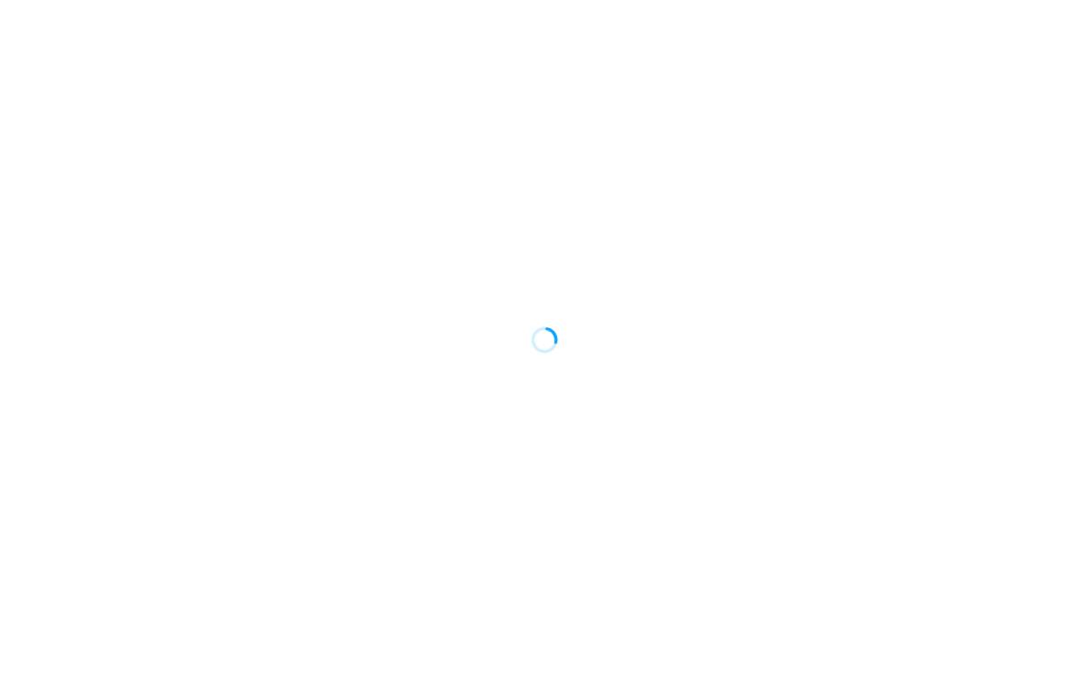 Bluma website preview