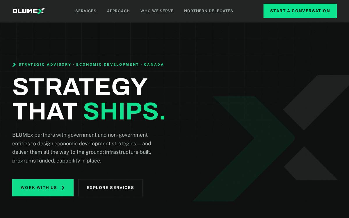 Blumex website preview