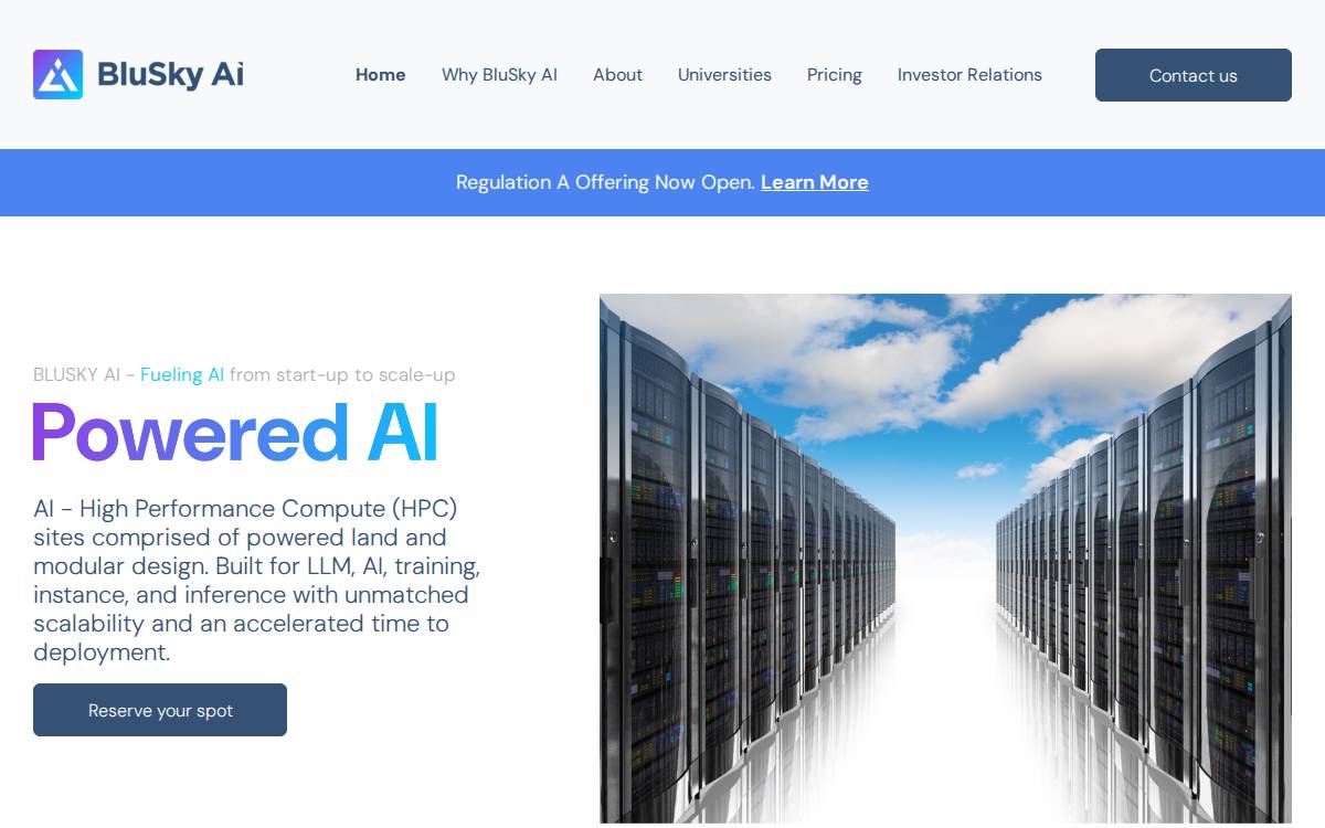 Blusky AI website preview