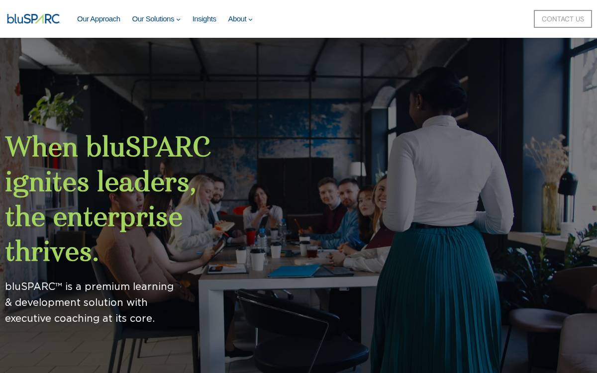 BluSPARC website preview