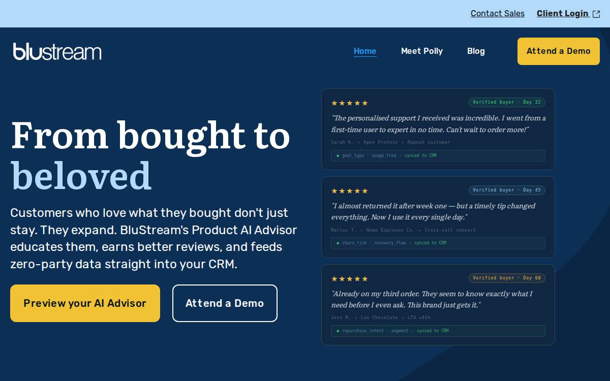 Blustream website preview