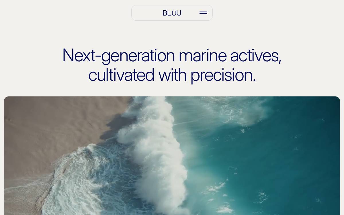 Bluu website preview