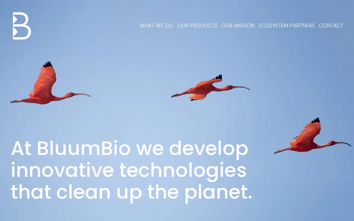 BLUUMBIO website preview