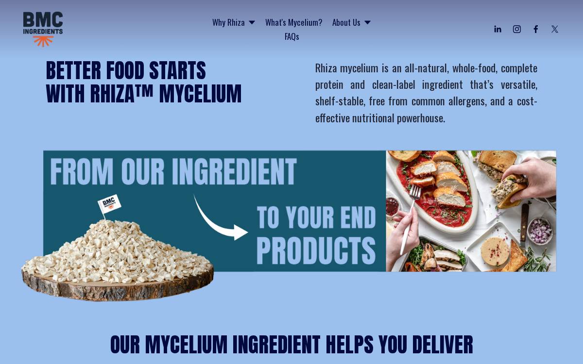 Bmcingredients website preview