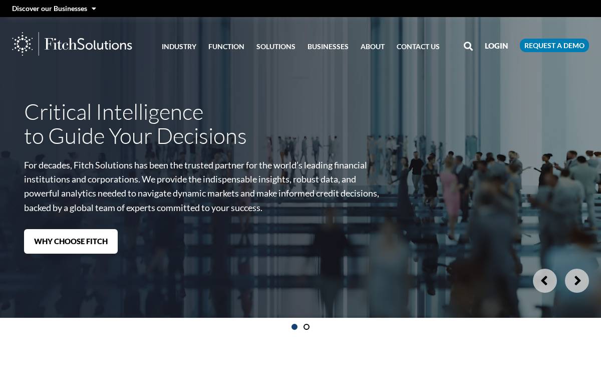 BMI (Fitch) website preview