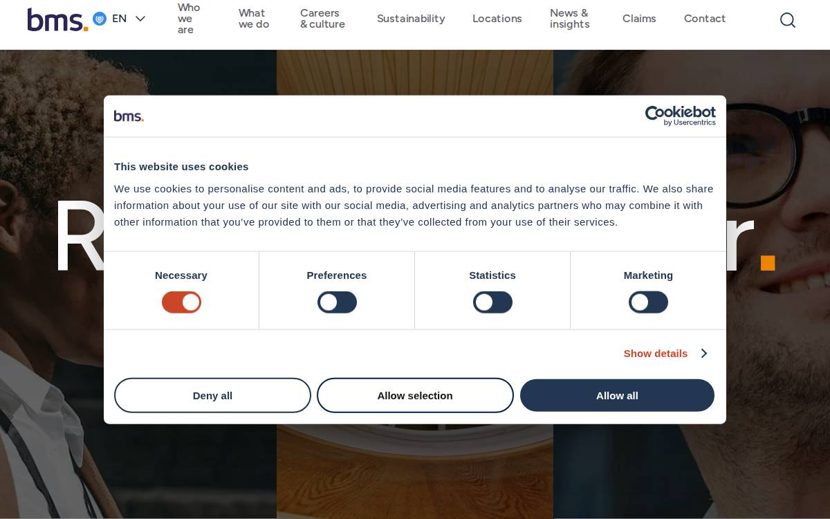 Bmsgroup website preview