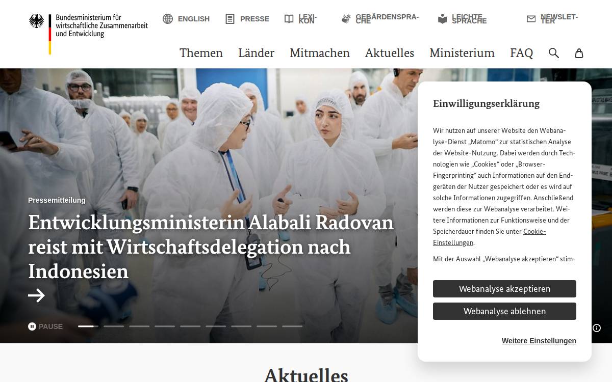 Bmz website preview