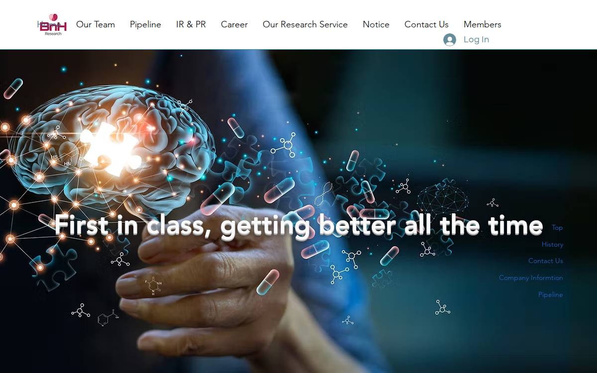 Bnhresearch website preview