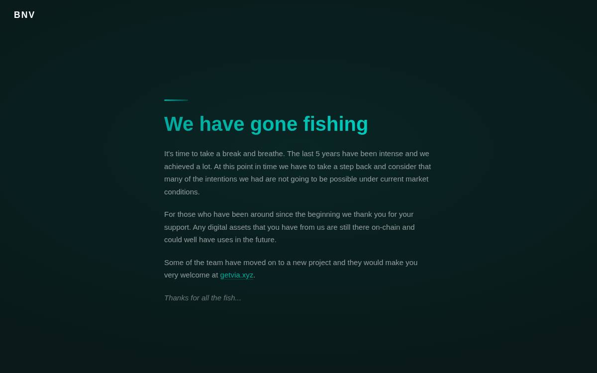 BNV website preview
