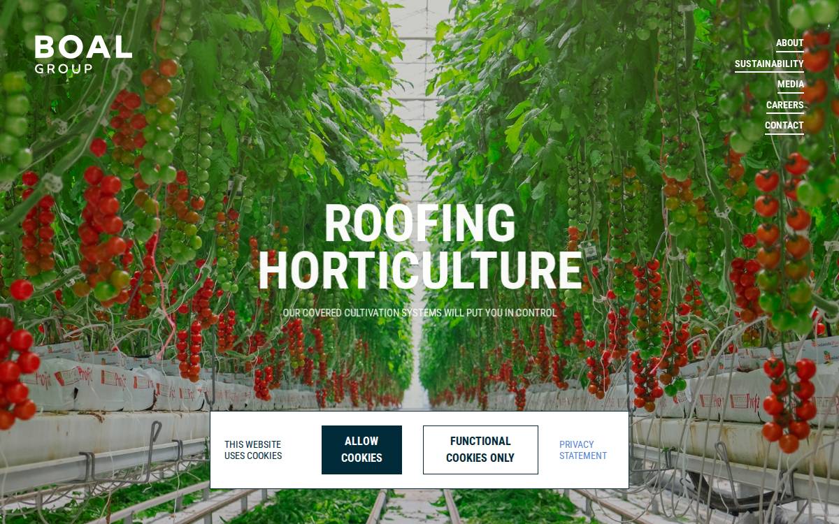 BOAL Group website preview