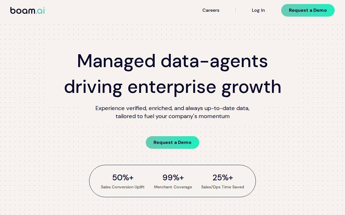 Boam website preview