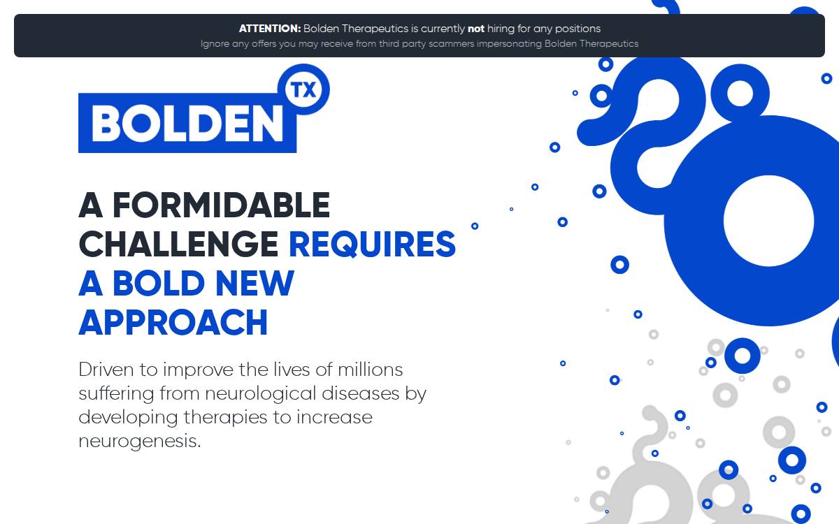 Bolden website preview
