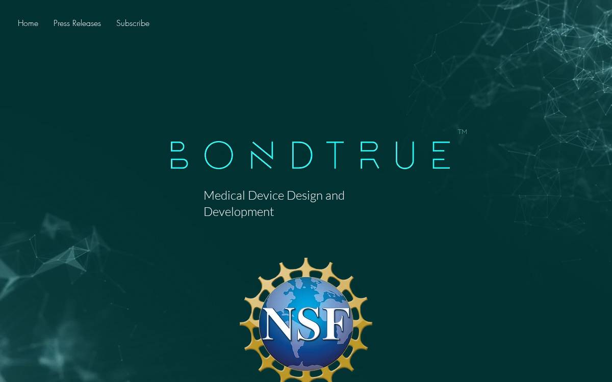 Bondtrue website preview