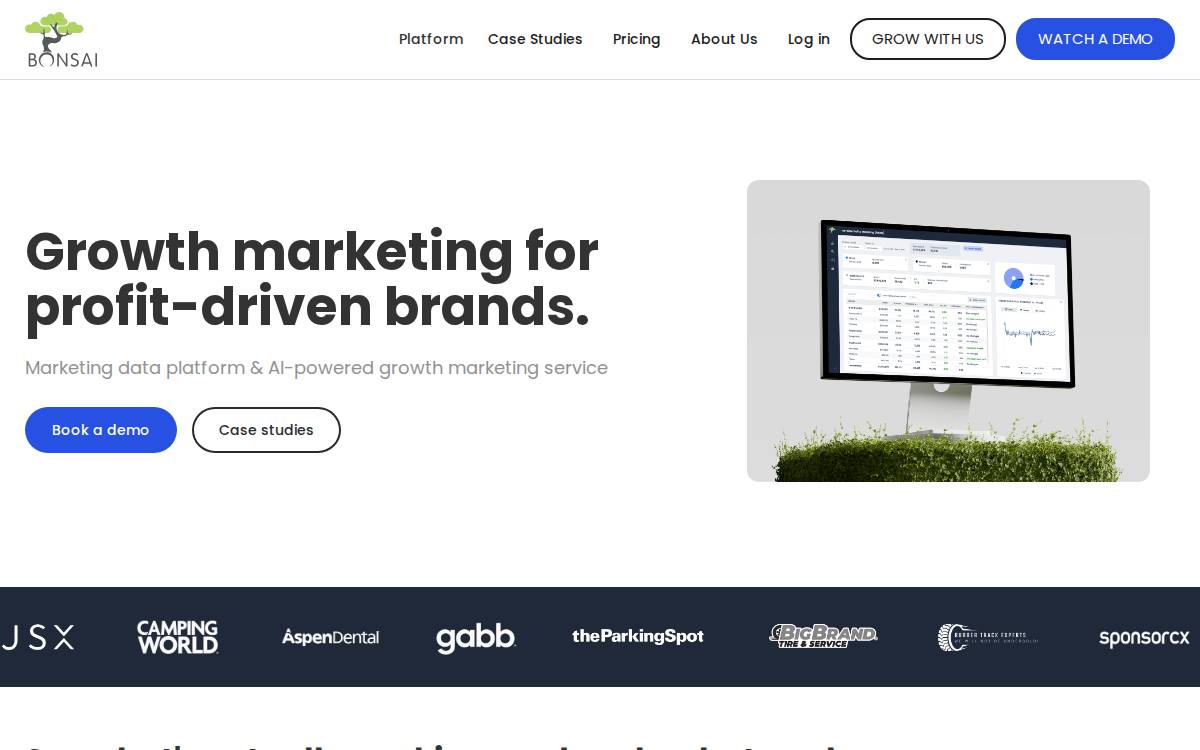 Bonsai Data Solutions website preview