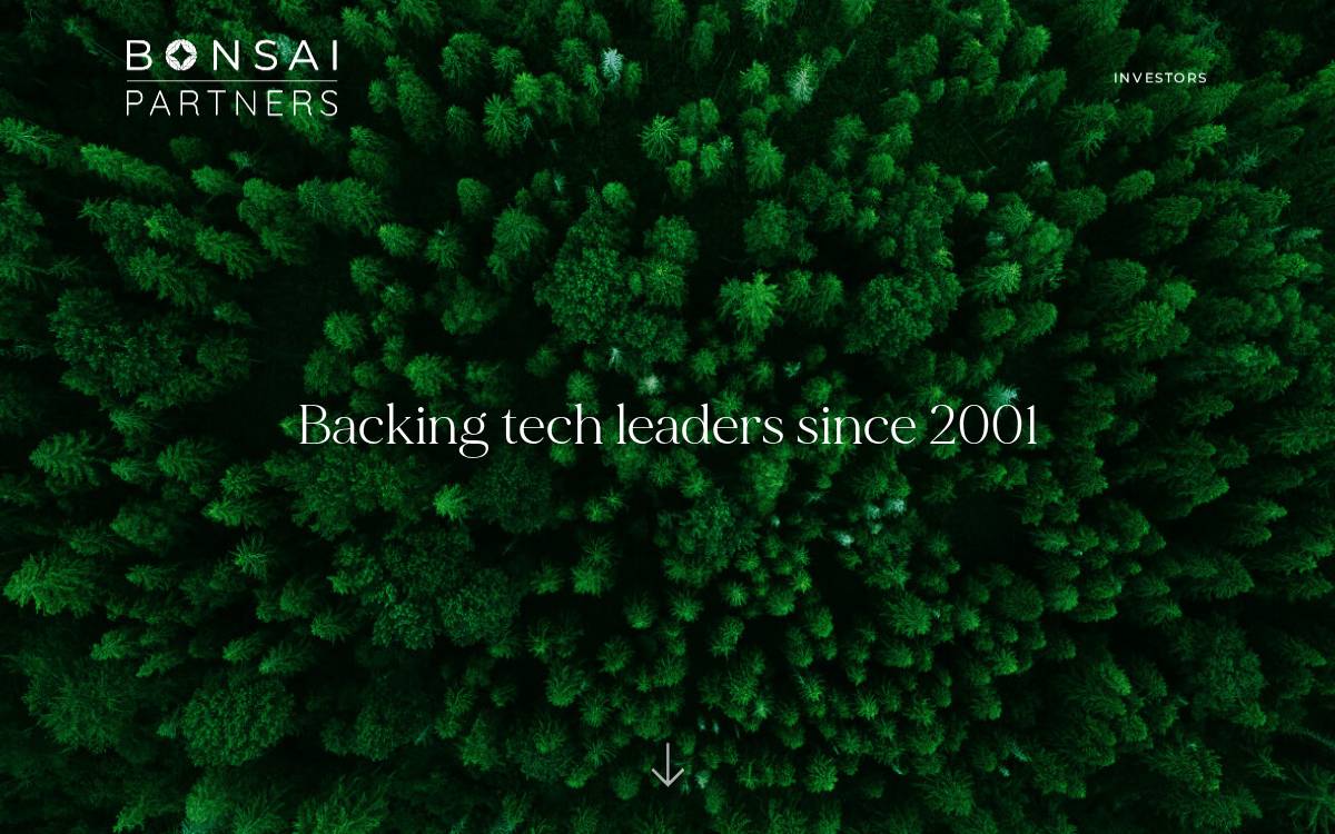 Bonsaipartners website preview