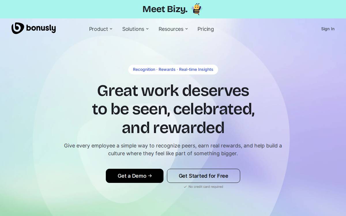 Bonus website preview