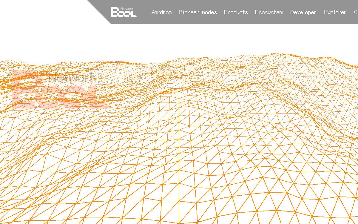 Bool Network website preview