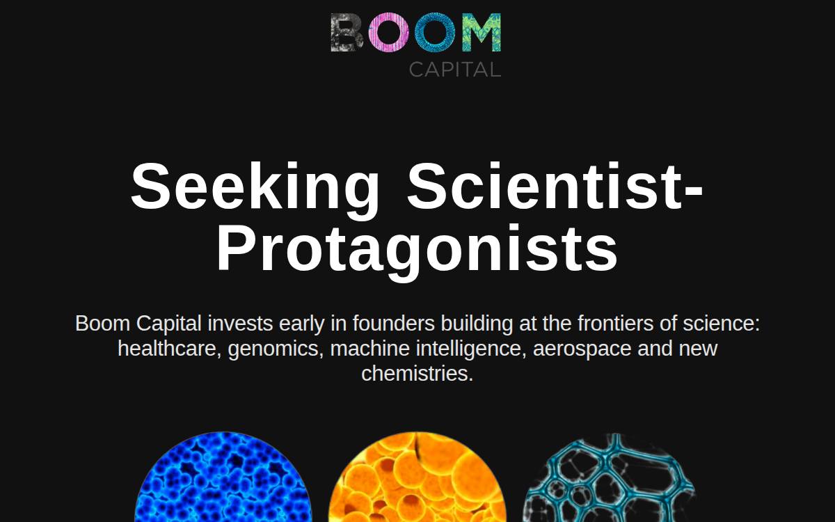 Boom Capital website preview