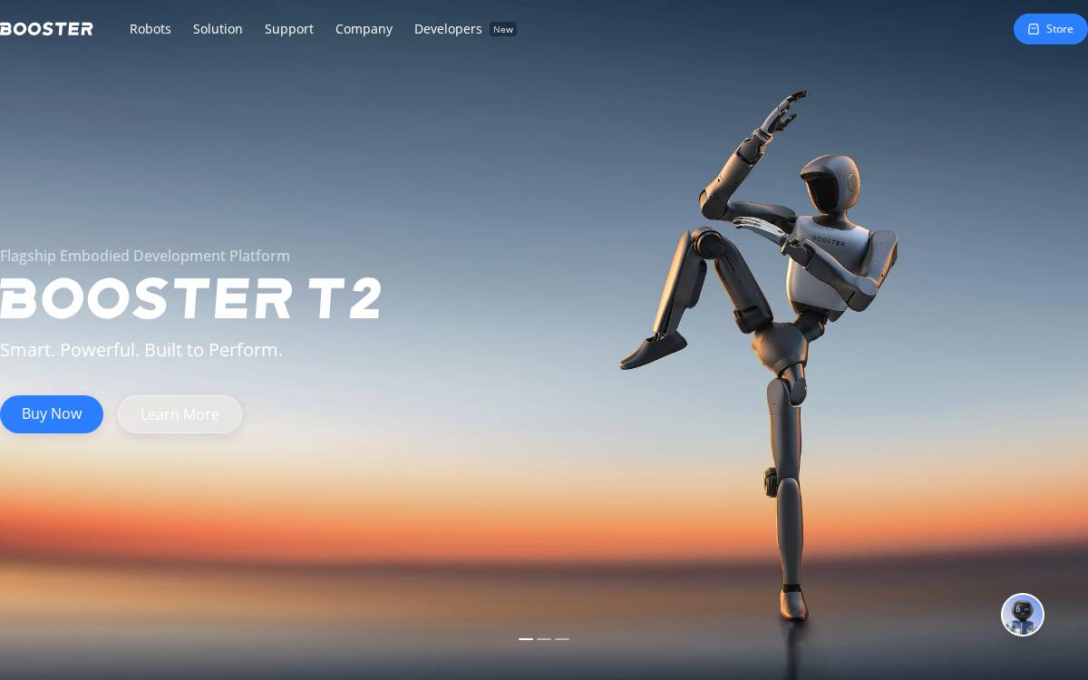 Booster website preview