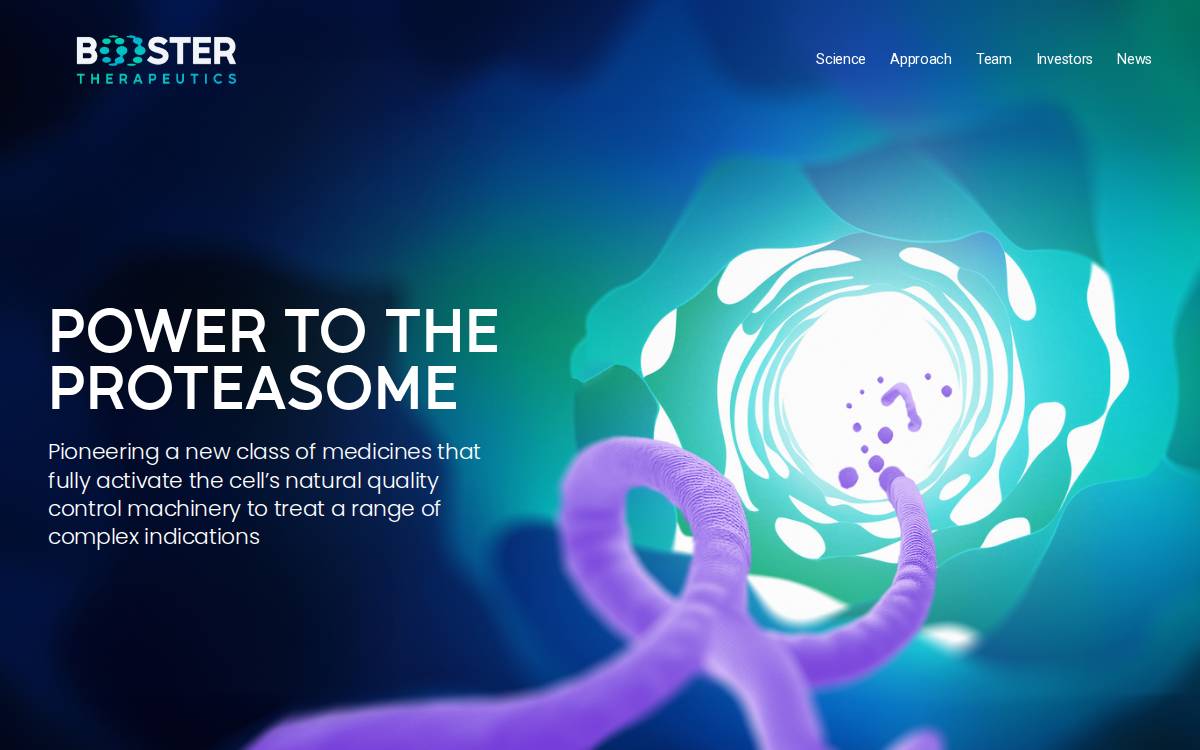 Boostertx website preview
