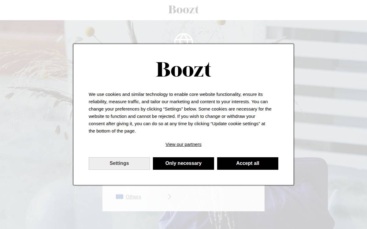 Boozt website preview