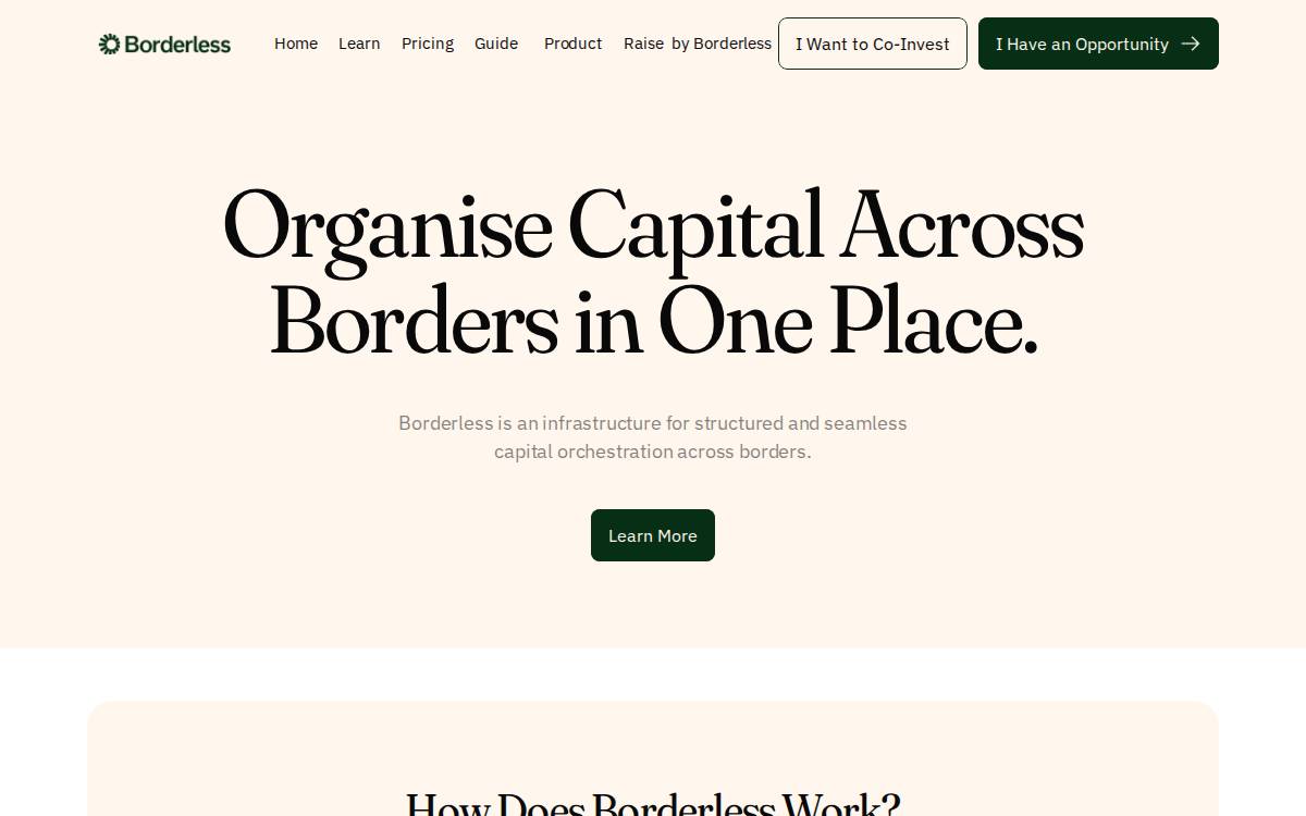 Borderless website preview