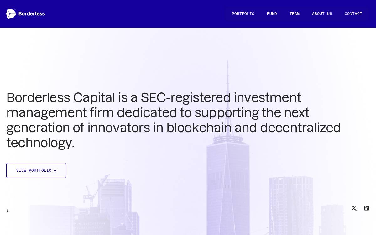 Borderless Venture website preview