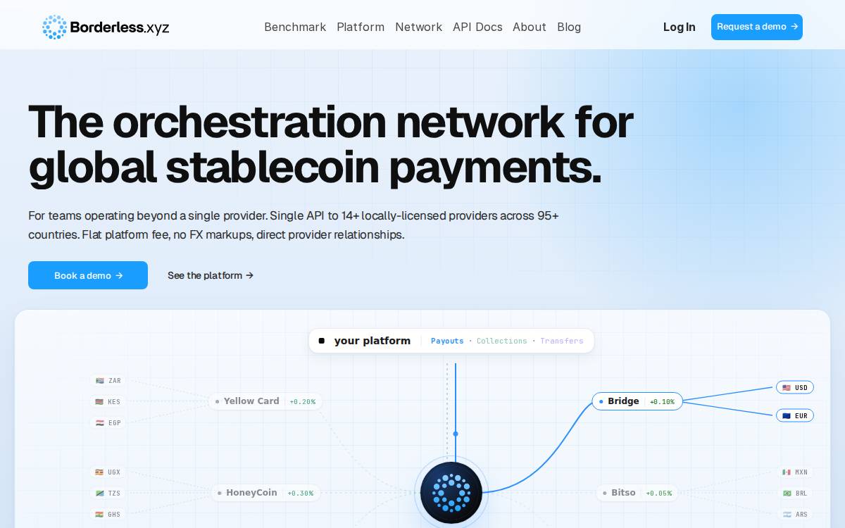 Borderless Labs website preview