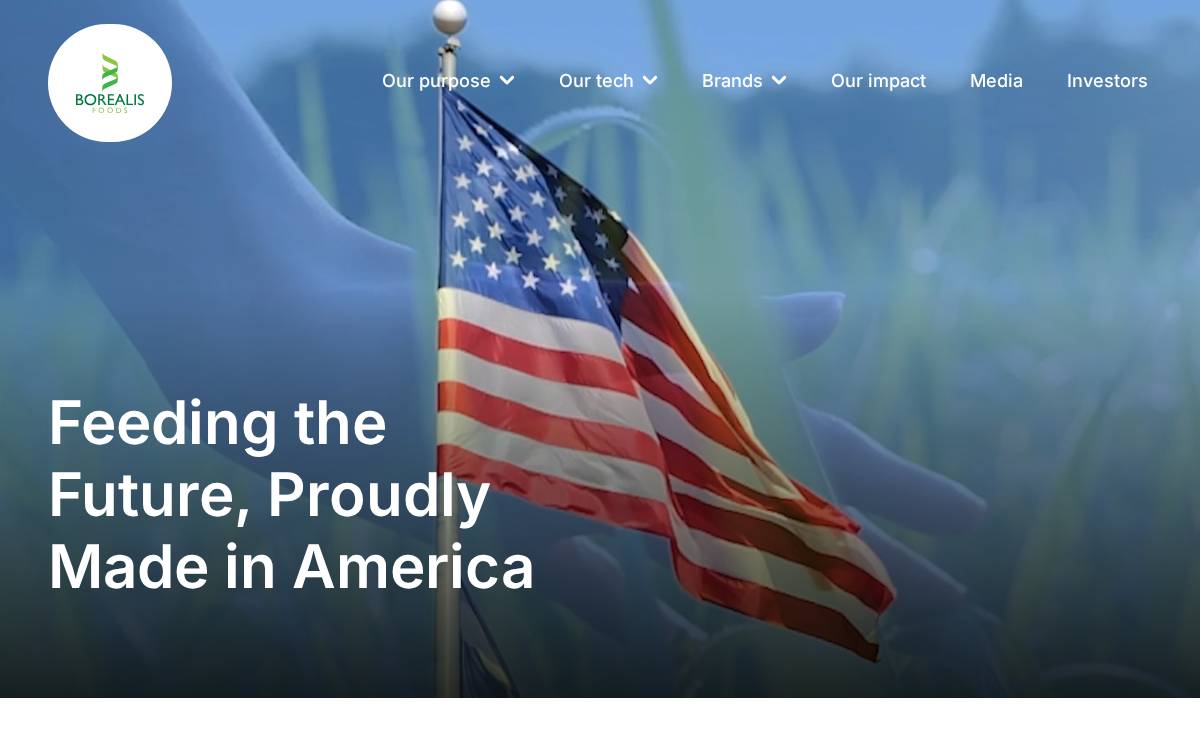 Borealis Foods website preview