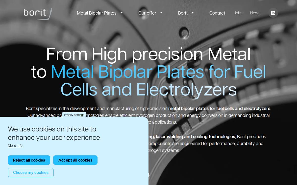 Borit website preview