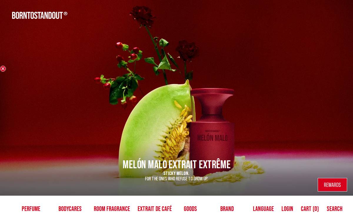 Borntostandout website preview