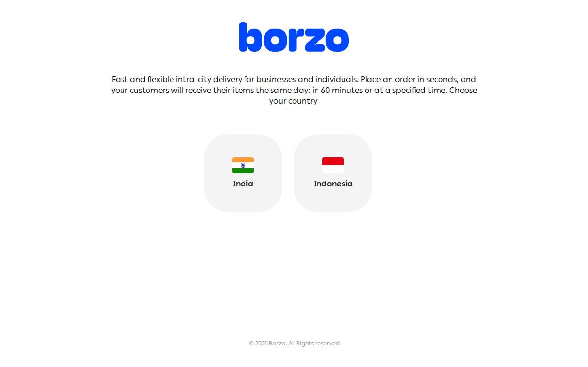 Borzodelivery website preview