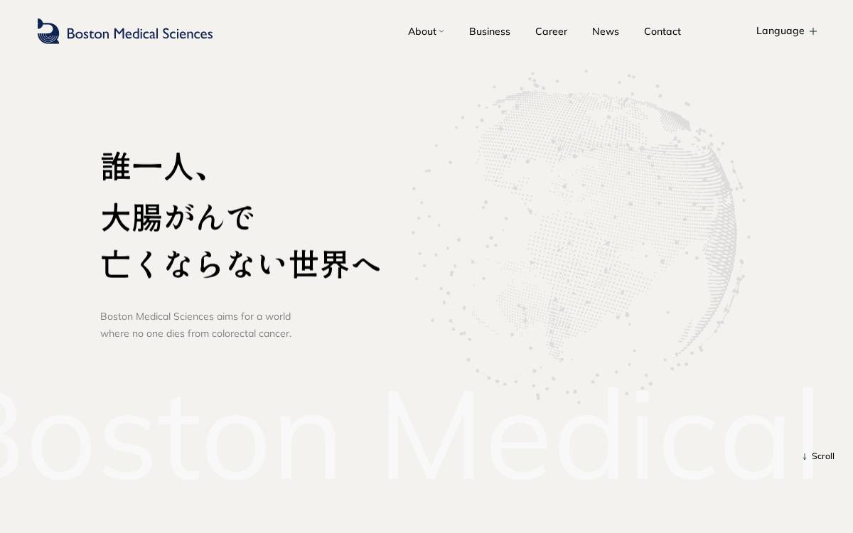 Boston Medical Sciences website preview