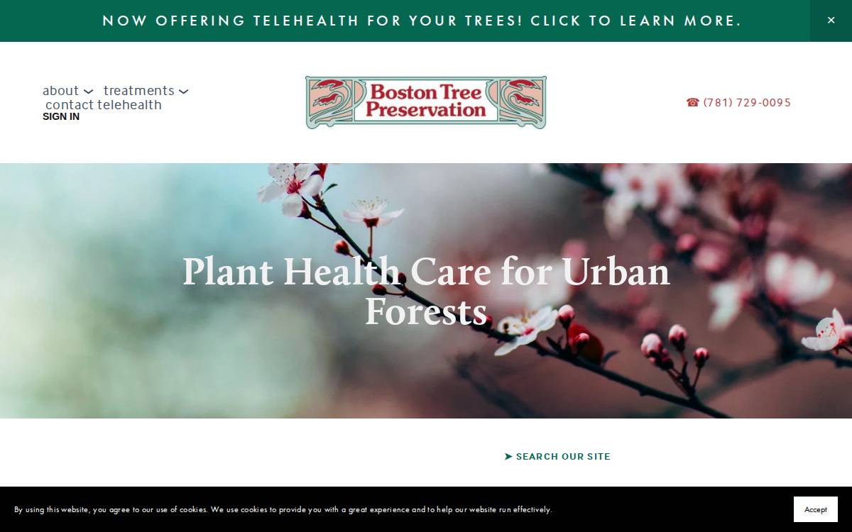Boston Tree Preservation website preview