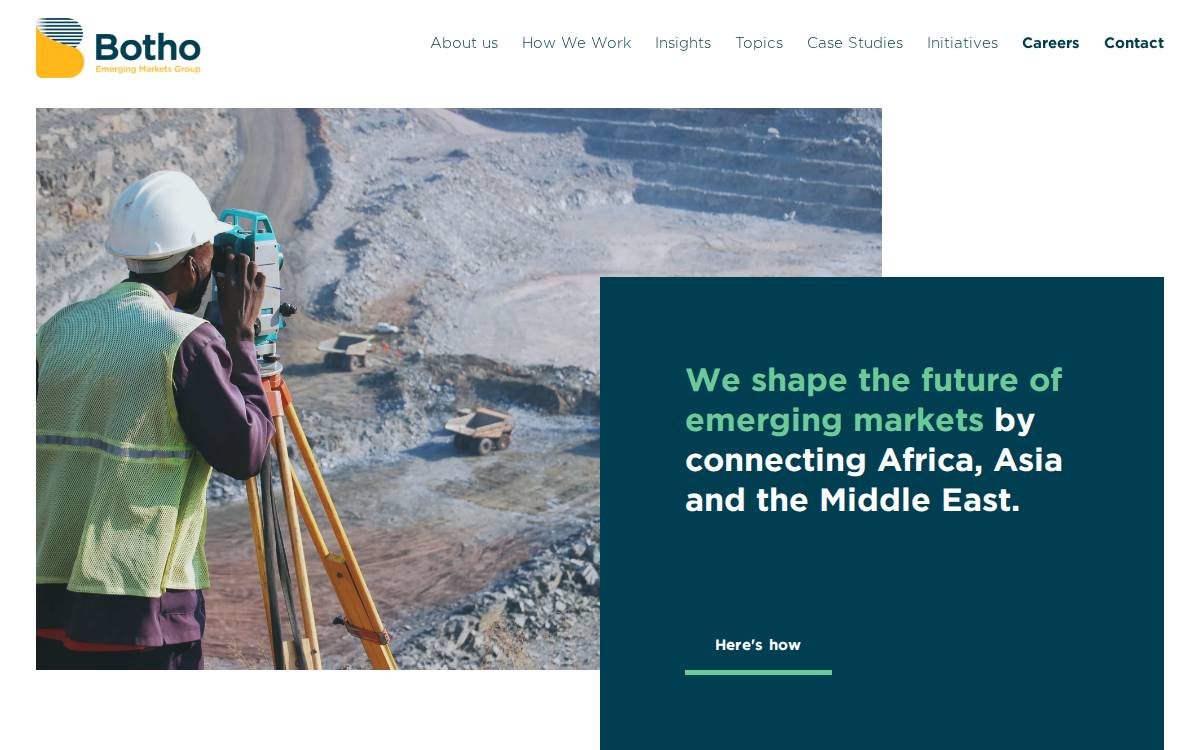 Bothogroup website preview