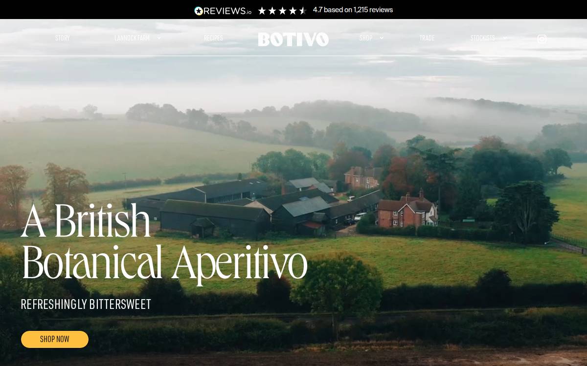 Botivo website preview