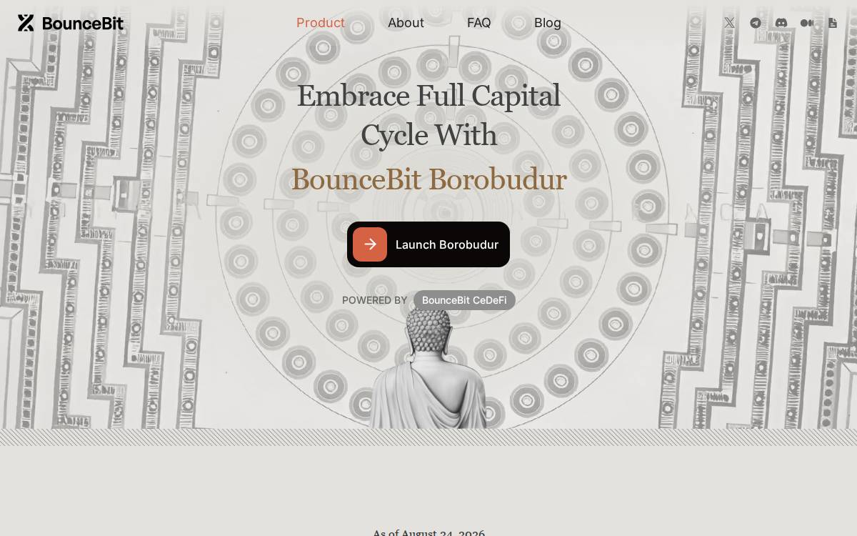 BounceBit DeFi Seed website preview