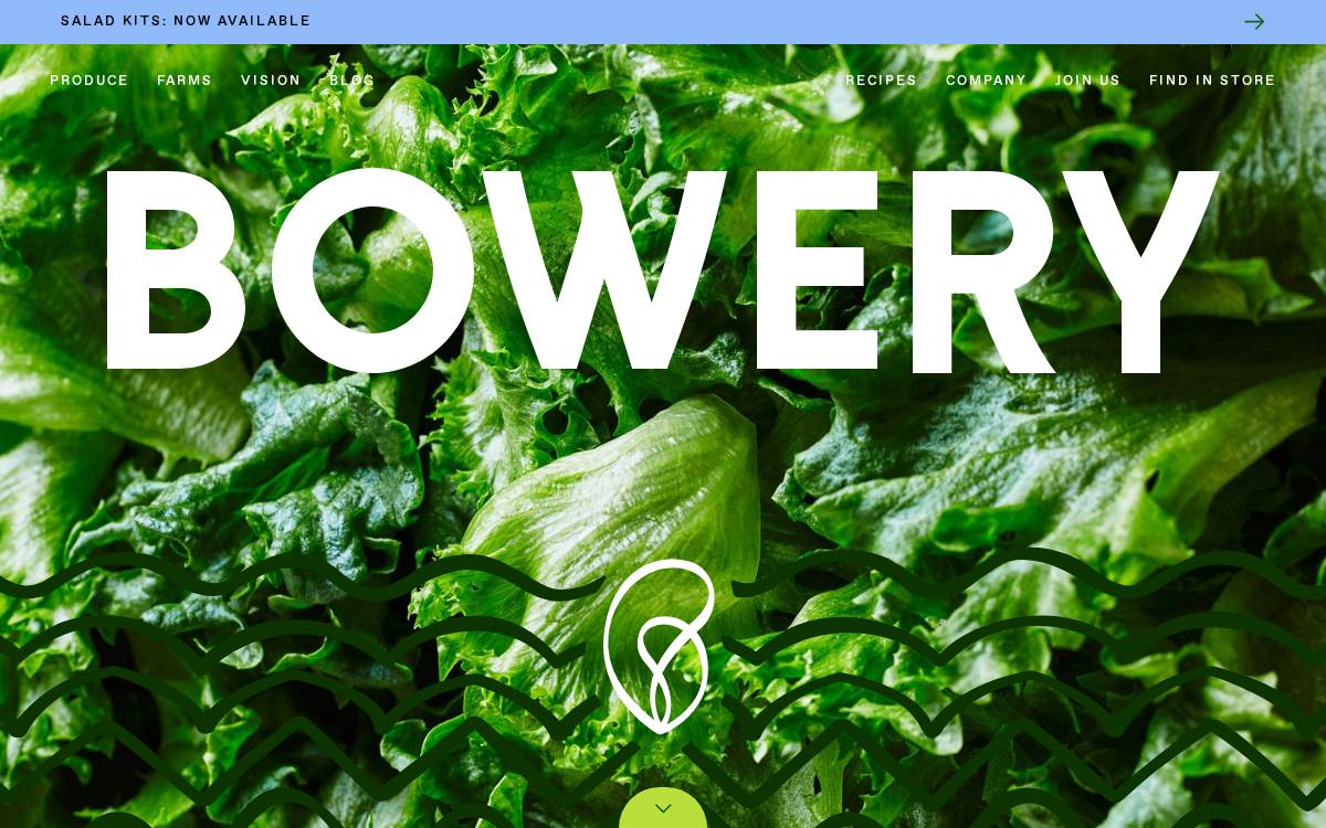 Bowery website preview