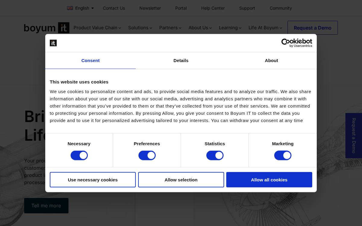 Boyum IT Solutions website preview