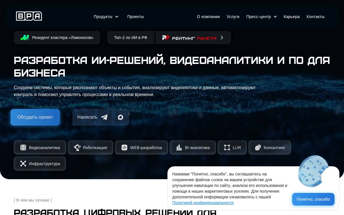 BPA Vision website preview