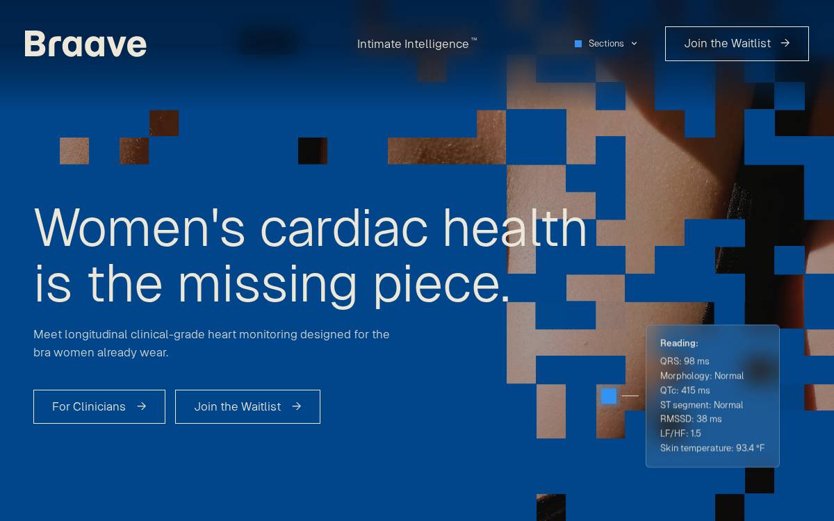 Braave website preview
