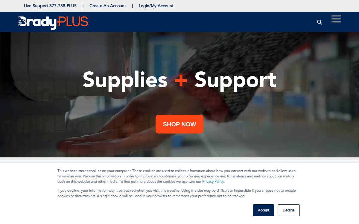 Bradyplus website preview