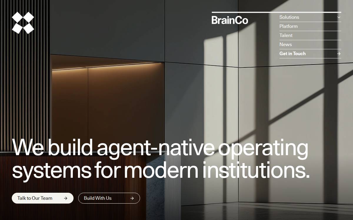 Brain Co. website preview