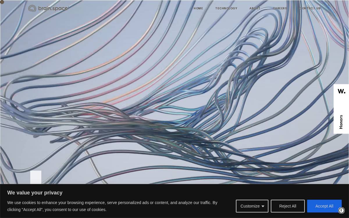 Brain website preview