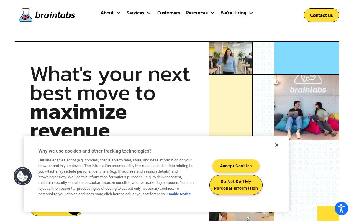 Brainlabsdigital website preview